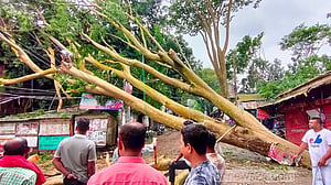 মুন্সীগঞ্জে ঘরে গাছ পড়ে মা ও মেয়ের মৃত্যু
