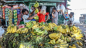 শিশুর জন্য কলা কতটা উপকারী?