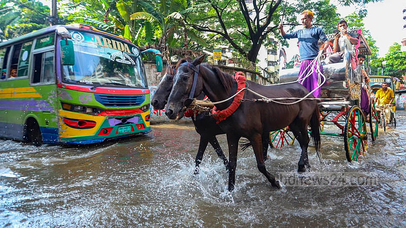 পুরান ঢাকার বকশীবাজারের মাদ্রাসা শিক্ষা বোর্ডের সামনের সড়কটিতে হাঁটু সমান পানির মধ্যে&amp;nbsp; দিয়ে চলছে ঘোড়ার গাড়ি। ঘূর্ণিঝড় সিত্রাংয়ের প্রভাবে টানা বৃষ্টিতে এই জলাবদ্ধতা।