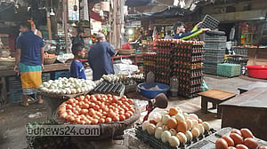 দাম না কমলে ডিম আমদানি, হুঁশিয়ারি মন্ত্রীর