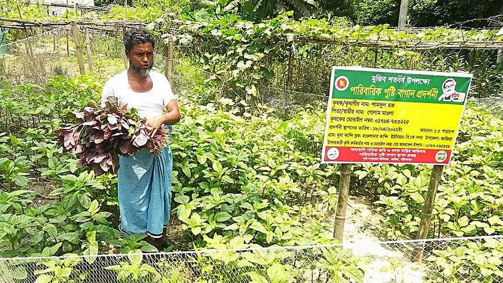 অনাবাদি জমি কত? যেভাবে আসবে চাষের আওতায়