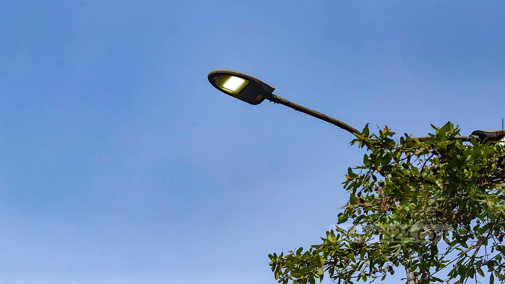 পাইকারিতে বিদ্যুতের দাম বাড়ল ১৯.৯২%