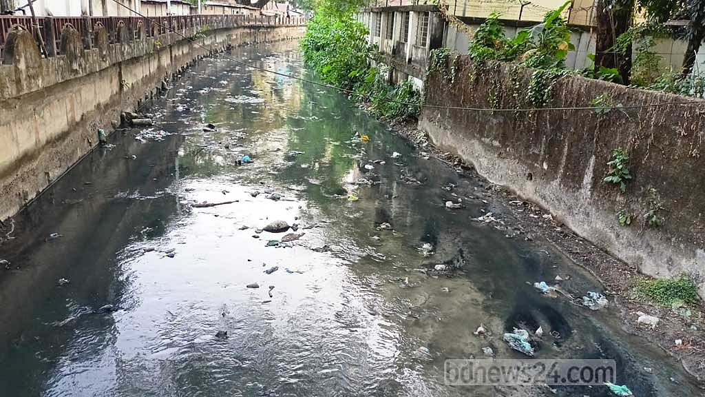মশার উৎপাতে অতিষ্ঠ সিলেট নগরবাসী
