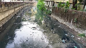 মশার উৎপাতে অতিষ্ঠ সিলেট নগরবাসী