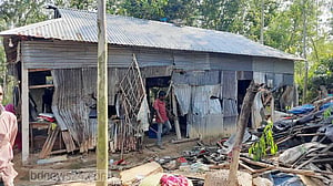 শেরপুরের সীমান্তে বসতবাড়িতে বন্যহাতির তাণ্ডব