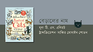 টি. এস. এলিয়টের কবিতা: বেড়ালের নাম