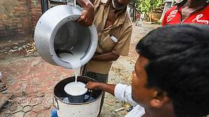 গবাদিপশু লালন-পালনের সহায়তায় হচ্ছে ডেইরি বোর্ড