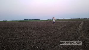 রবি ফসলে সার-ডিজেলের হিসাব মিলবে কৃষকের?
