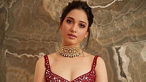 তামান্না ভাটিয়ার পাত্র মিলেছে?