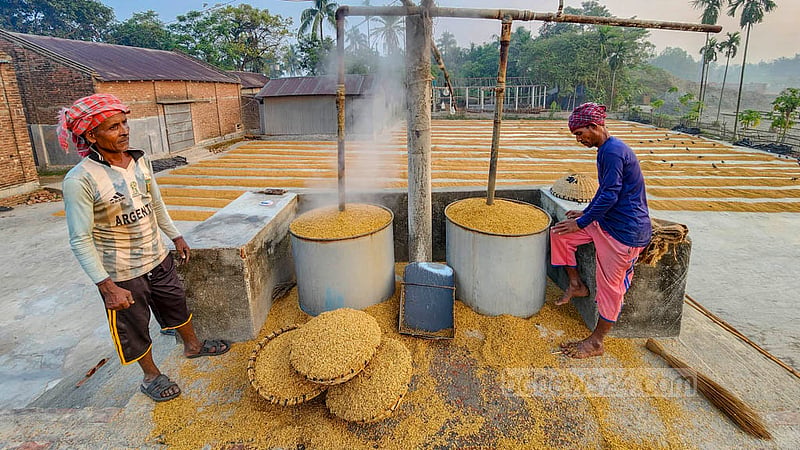 হাসকিং মিলের ধান সেদ্ধ করা হচ্ছে। স্থানীয় ভাষায় একে বলে ‘গ্যাস দেওয়া’। হাসকিং মিলের ধান সেদ্ধের জায়গাকে চেম্বার বলা হয়। ছবি: তারিকুল হাসান