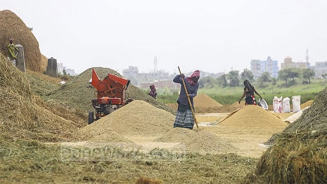 বোরো কেনায় কেজিতে ২ টাকা দর বাড়াল সরকার