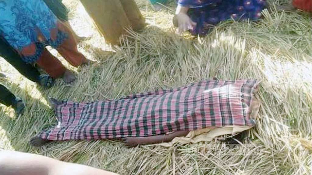 ধান কাটার মেশিন দেখতে গিয়ে প্রাণ গেল শিশুর