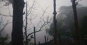 কুয়াশা মোড়া রাঙামাটির ভোর