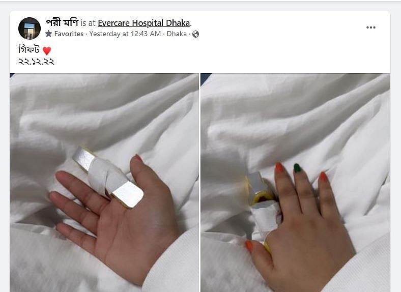 কোনো সমস্যা নেই, সব ঠিকঠাক: পরীমনি