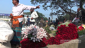 মৌসুমের শুরুতেই জমে উঠেছে গদখালীর ফুলের বাজার