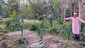 স্বাধীনতার অর্ধশতকেও সংরক্ষণ হয়নি ‘মানরা গণকবর’
