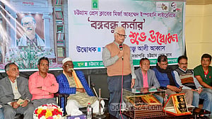 এর কোনো প্রয়োজন ছিল না: অধ্যাপক মইনুল ইসলাম