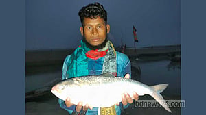 এক ইলিশ বিক্রি ৬,৬০০ টাকায়