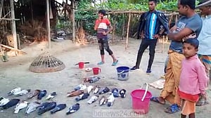 নাটোরে ‘বিষ মেশানো’ গম খেয়ে মারা গেলো ৩৫ কবুতর