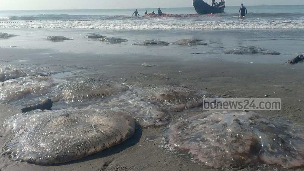 আবারও মৃত জেলিফিশে ভরে গেছে কক্সবাজার সৈকত