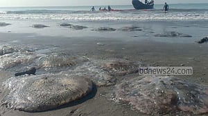 আবারও মৃত জেলিফিশে ভরে গেছে কক্সবাজার সৈকত