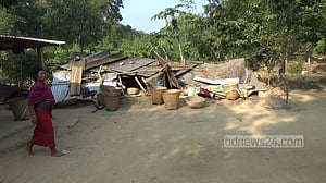 নেত্রকোণায় বন্যহাতির তাণ্ডব: ৩৫ ঘর লন্ডভন্ড, একজন নিহত