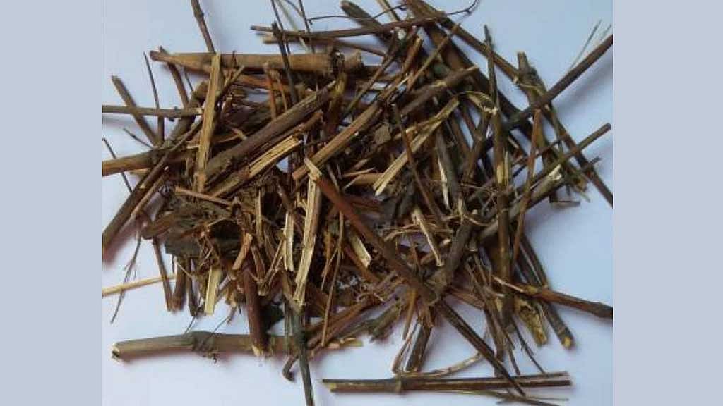 ফ্যাটি লিভার চিকিৎসায় চিরতার ক্যাপসুলের পরীক্ষামূলক প্রয়োগ