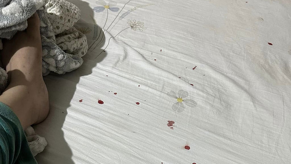 গায়ে হাত তুললে সম্পর্ক আর থাকে না, নতুন পোস্টে পরীমনি