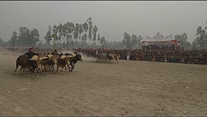 কুড়িগ্রামে ফিরে এলো  মই টানা খেলা