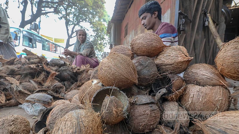 কোকোনাট পাউডার তৈরির কারখানায় নারিকেলের ছোবড়া ও মালা আলাদা করছেন এক শ্রমিক। ছবি: আসিফ মাহমুদ অভি