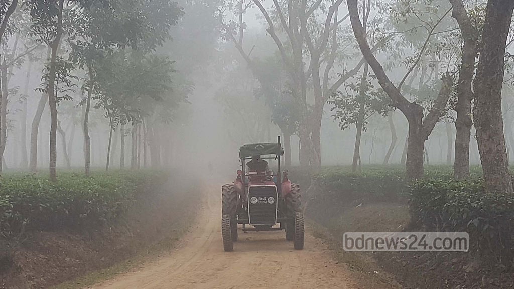 উত্তরী হাওয়ায় কাঁপছে দেশ, সর্বনিম্ন তাপমাত্রা শ্রীমঙ্গলে