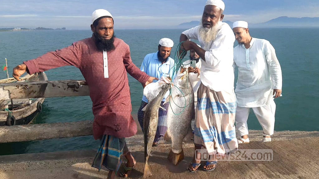বড়শিতে ৩৫ কেজির জোড়া কোরাল, বিক্রি ৩৫ হাজারে