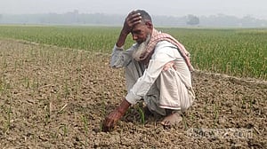 ভেজাল বীজে রাজবাড়ীর হাজারো পেঁয়াজ চাষির মাথায় হাত