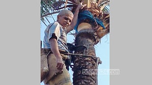 ৮০ টাকার হাঁড়িতে ২০৫ টাকার শিকল-তালা লাগান বরিশালের গাছি