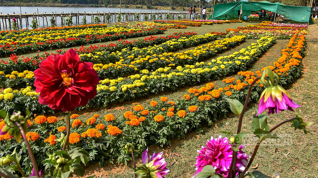 সীতাকুণ্ডে উদ্ধার করা জমিতে বসবে ফুলের মেলা