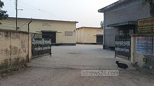 নীলফামারীতে এক ছটাক ধানও সংগ্রহ করতে পারেনি খাদ্য বিভাগ