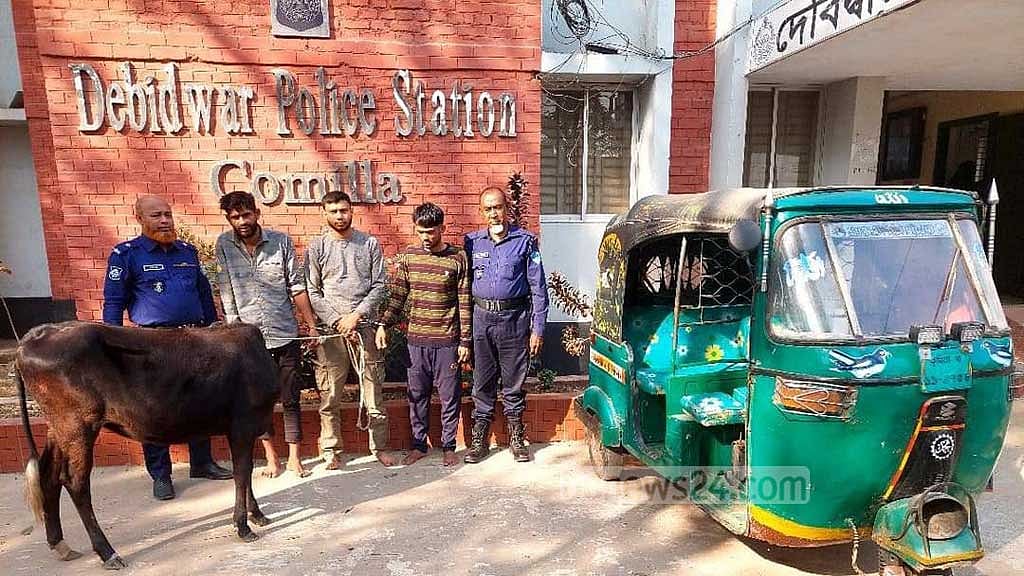 শ্বশুরবাড়িতে গরু চুরি করতে গিয়ে ধরা খেলেন ‘জুয়াড়ি’ জামাই