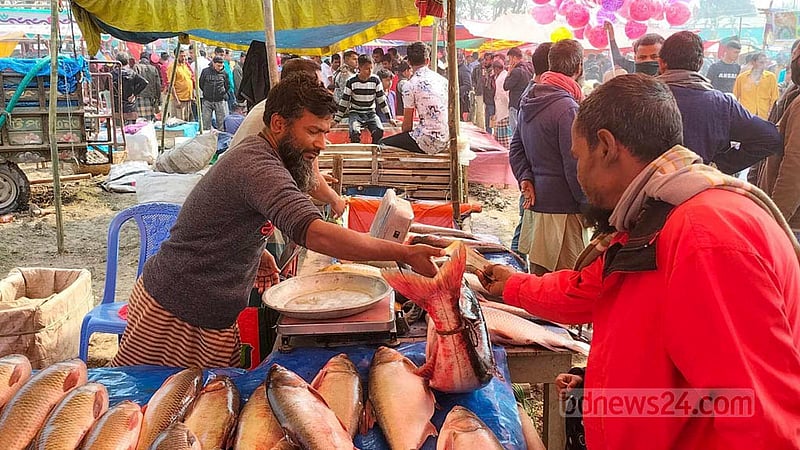 বগুড়ার গাবতলী উপজেলার পোড়াদহ মাছ মেলার একটি স্টল থেকে মাছ কিনছেন এক ক্রেতা।