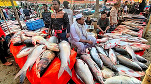 পোড়াদহে ঐতিহ্যবাহী মাছ মেলা