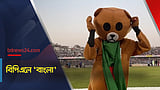 বিপিএলে 'বাংলা'
