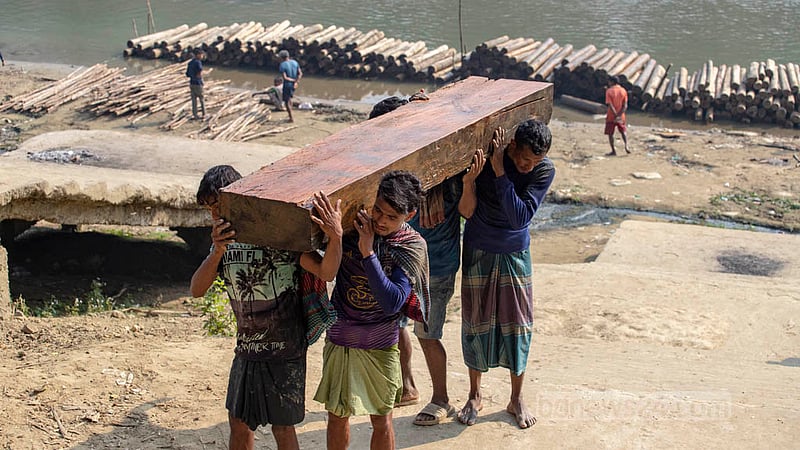 বান্দরবানে গভীর বন থেকে গাছ কেটে নদীপথে এনে উজানীপাড়া ঘাটের ডিপোতে তুলছেন শ্রমিকরা। ছবি: আসিফ মাহমুদ অভি