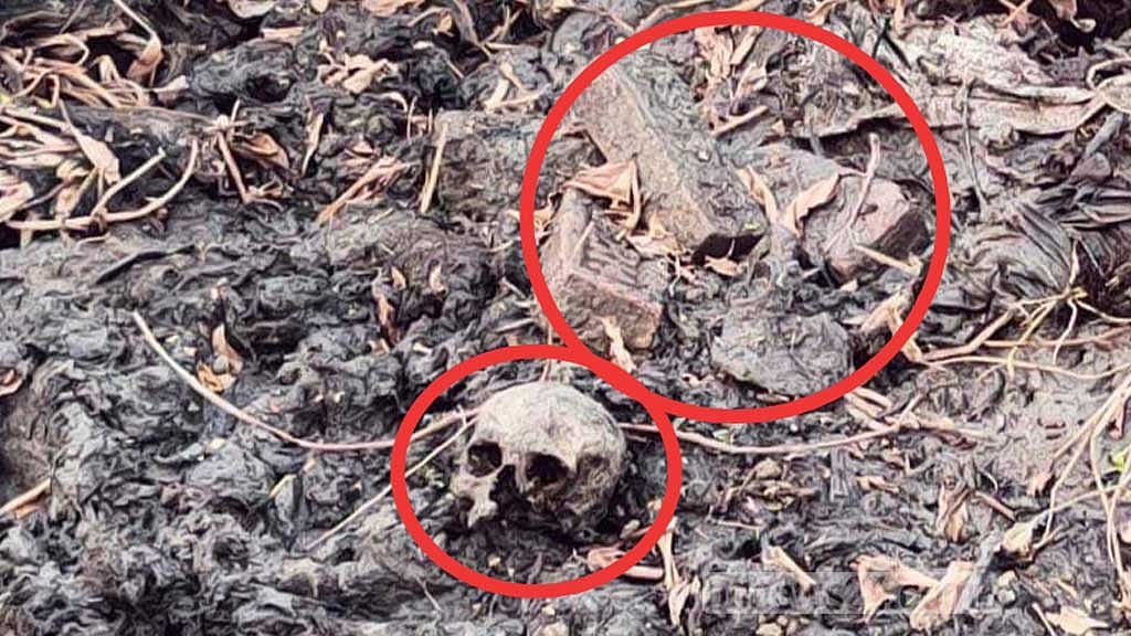 লক্ষ্মীপুরে ডোবায় মিলল মাথার খুলি, হাড়গোড়