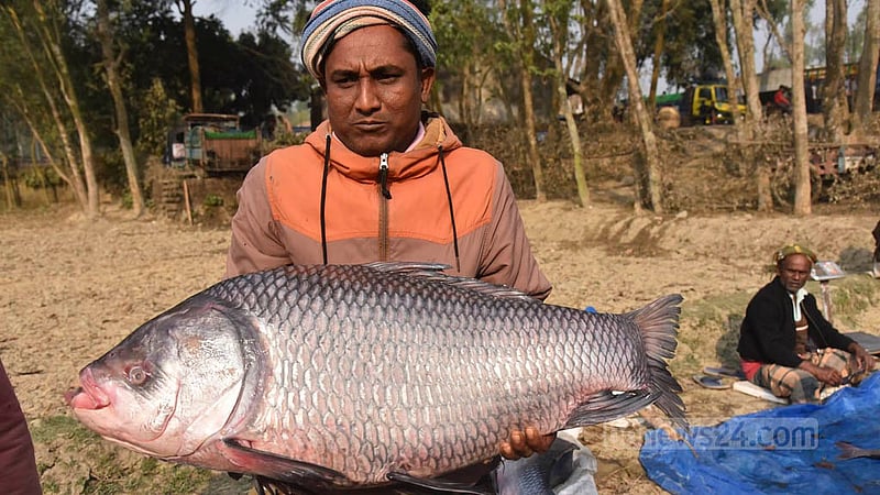 পোড়াদহের মেলায় মাছ হাতে ক্রেতা আকর্ষণের চেষ্টায় এক বিক্রেতা।