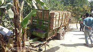 নাটোরে সড়কে ও ট্রেনে কাটা পড়ে নিহত ৩