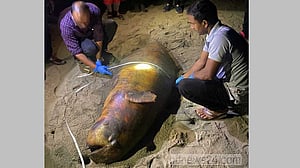 কক্সবাজার সমুদ্র সৈকতে মৃত ‘ইরাবতী’ ডলফিন