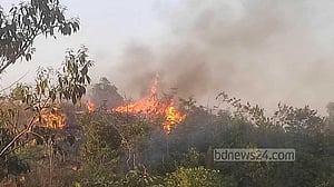 শাবির টিলায় অগ্নিকাণ্ডে পুড়েছে ফলদ উদ্ভিদ 
