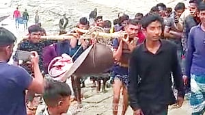 ১৫০ কেজির শাপলা পাতা মাছ বিক্রি হলো ২৮ হাজারে