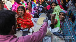ভোট নাকি ভাত, ভাত নাকি ভোট