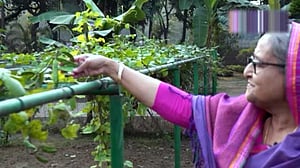 গণভবনেই চাষাবাদে বঙ্গবন্ধুকন্যা