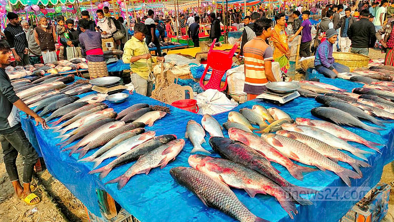 বগুড়ার গাবতলী উপজেলার পোড়াদহ মাছ মেলার একটি স্টলে বিভিন্ন জাতের মাছ।